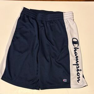 Champion Men's Athletic Shorts in Navy and White